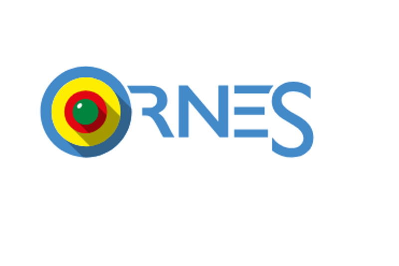 Ornes + Wituimte